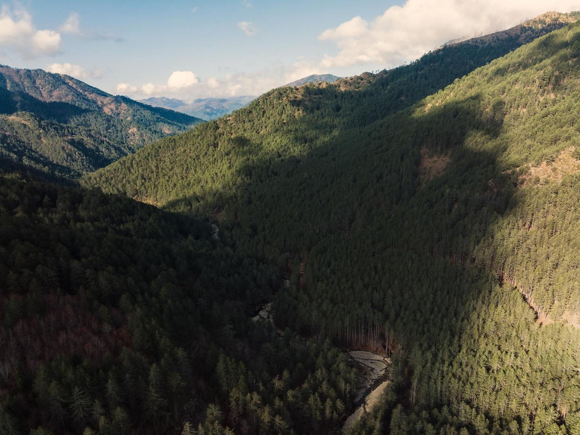 Grand Forest Metsovo - Small Luxury Hotels Of The World Exterior photo